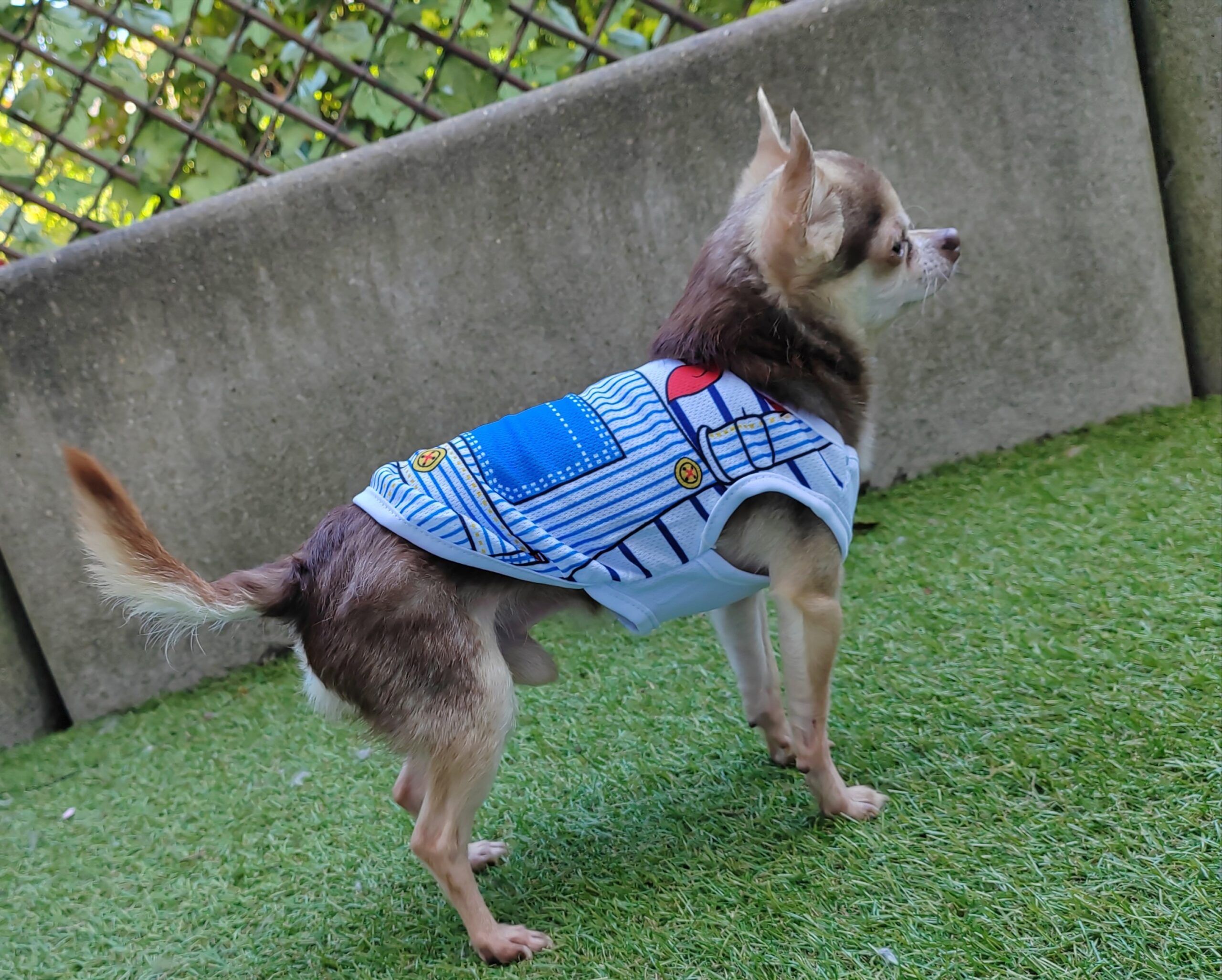 débardeur pour chien