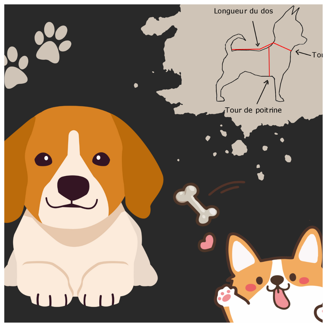 guide de taille chien guide de taille chien