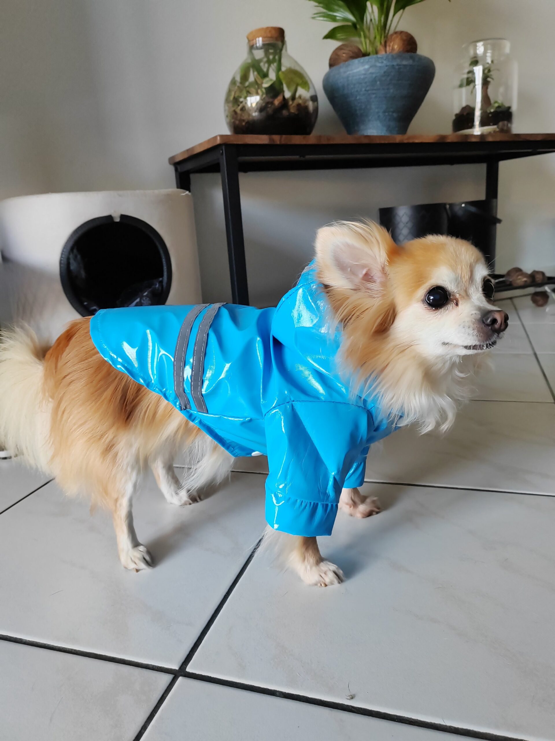 veste imperméable pour chien veste imperméable pour chien