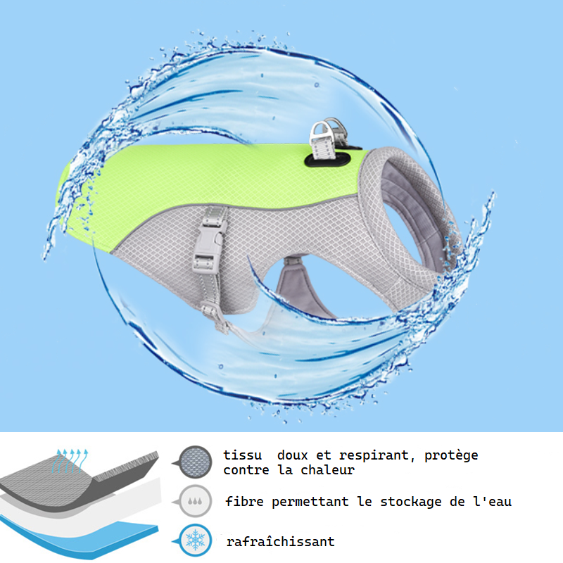 gilet rafraichissant pour chien