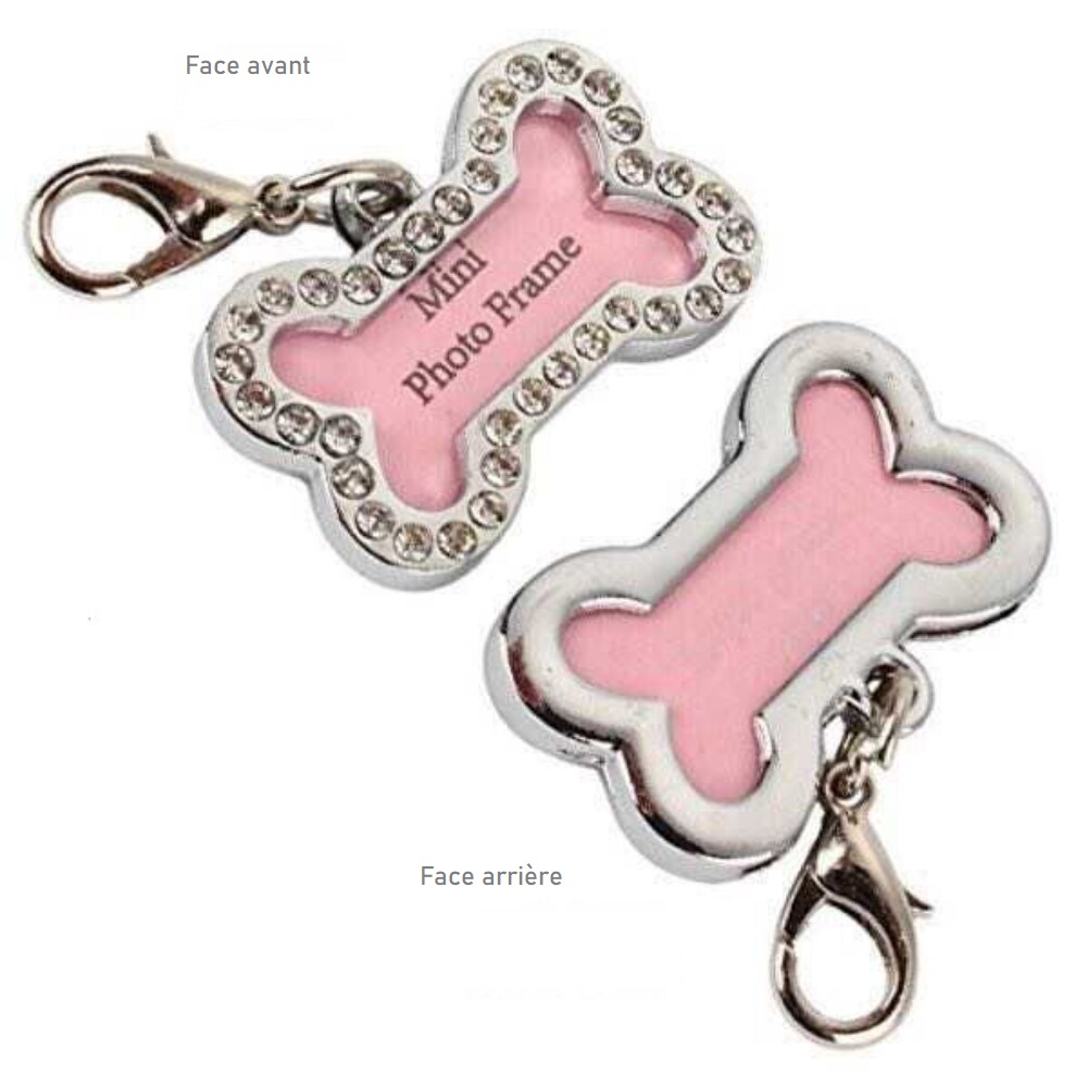médaille pour chien médaille pour chien