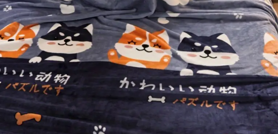 couverture polaire couverture polaire