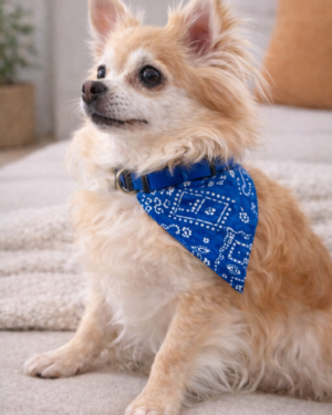 Collier bandana en nylon