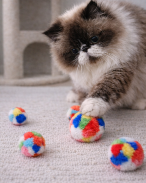 Lot de 5 balles en peluche