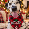 Bandana de Noël - Thumbnail Image 1