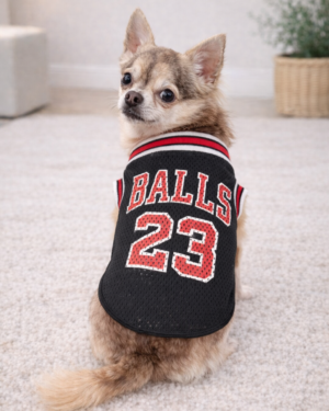 T-shirt "Basketball"