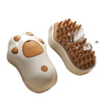 Brosse à vapeur