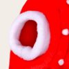 costume de noel pour chien