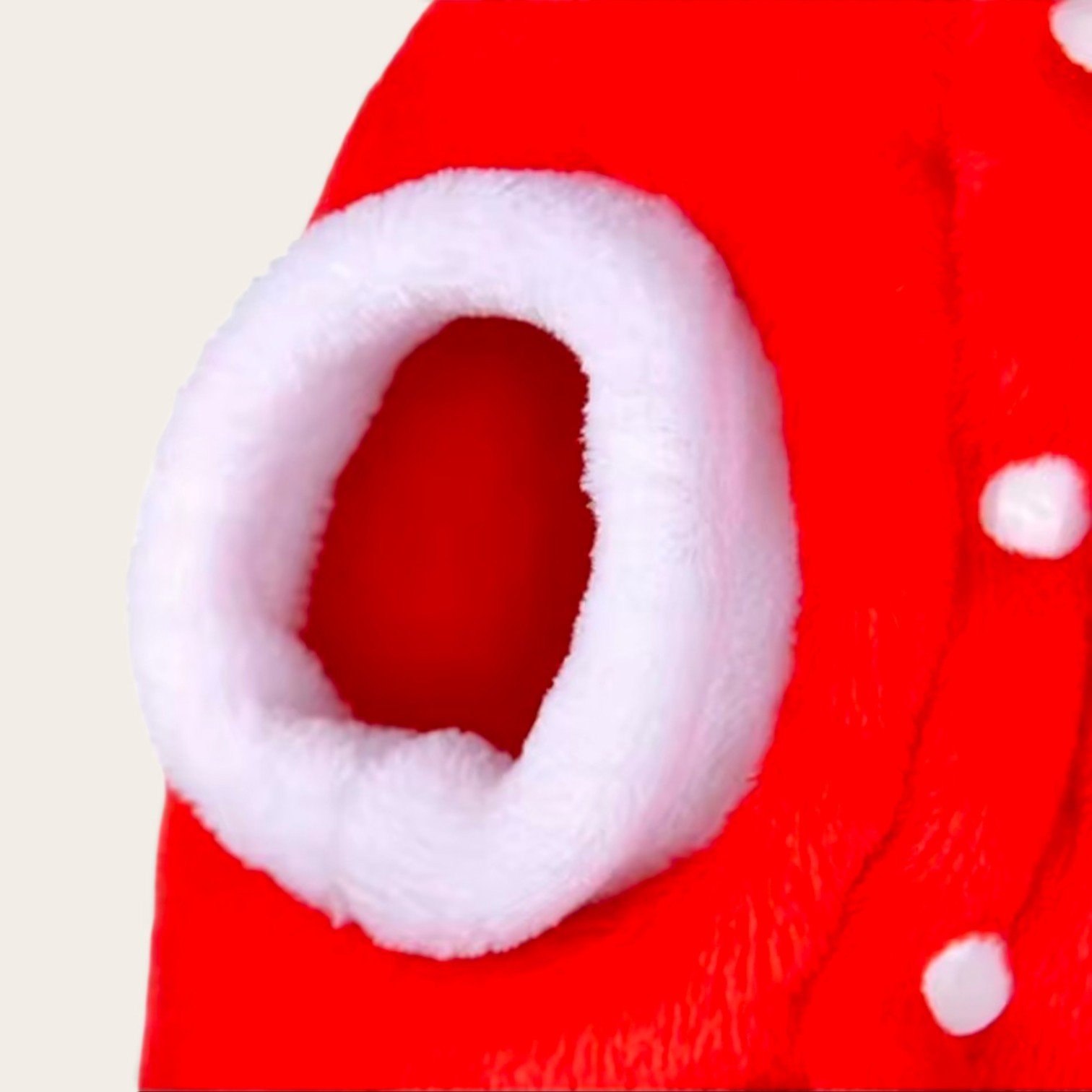 costume de noel pour chien