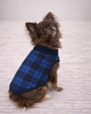 Pull polaire Ecossais