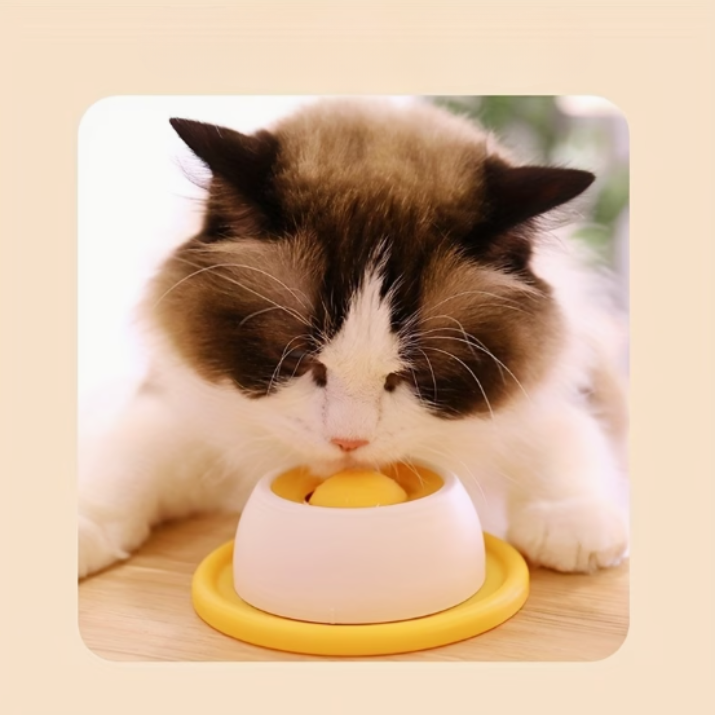 Balle à lécher pour chien et chat – jouet apaisant