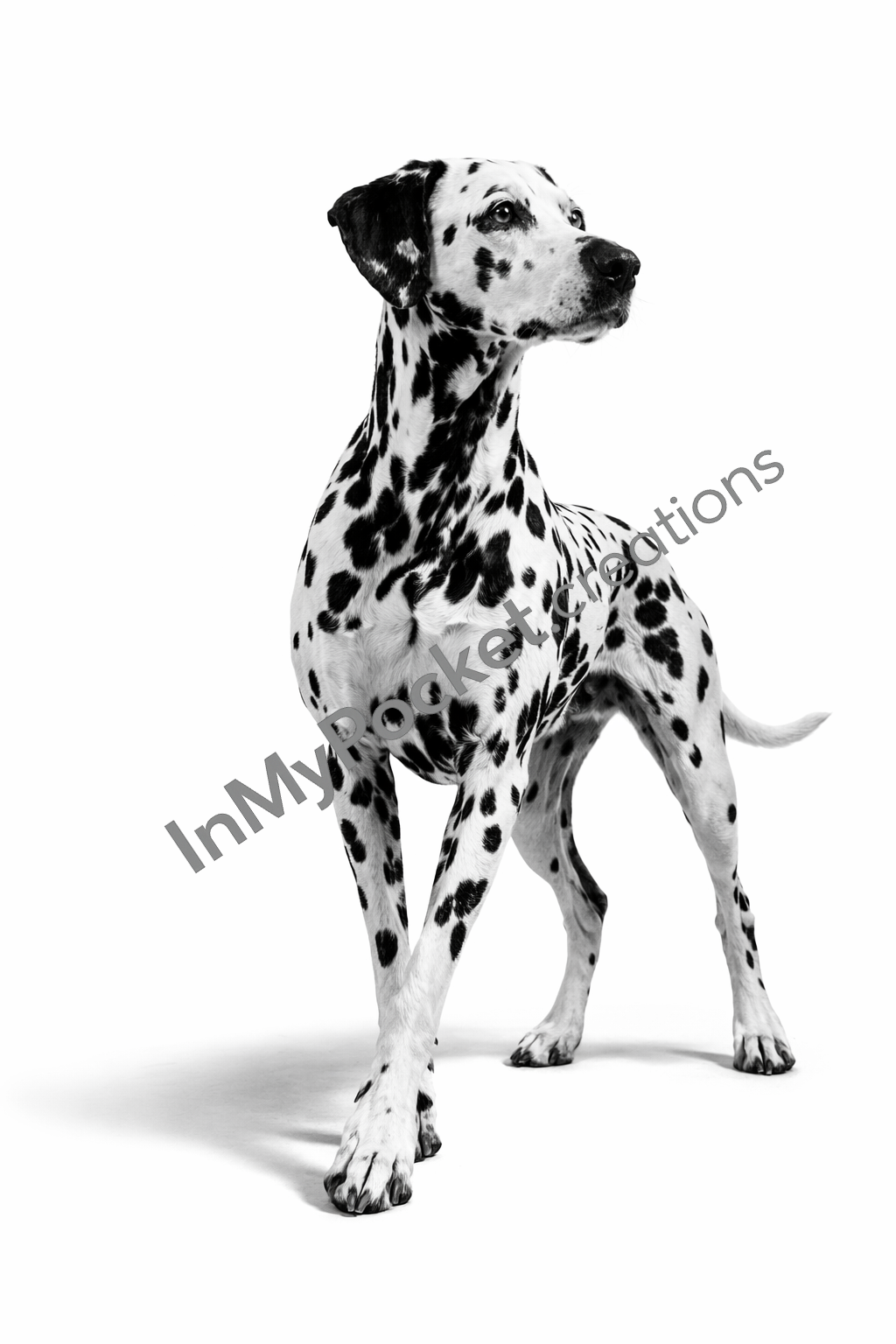 20260221_102812_0000