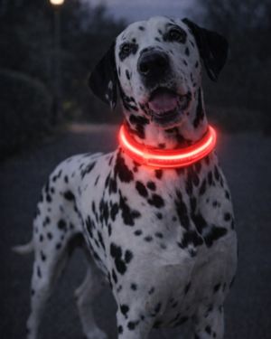 Collier lumineux